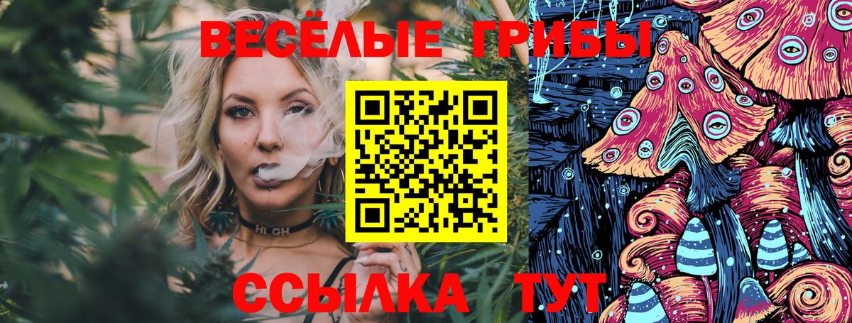 Псилоцибиновые грибы мухоморы Соль-Илецк
