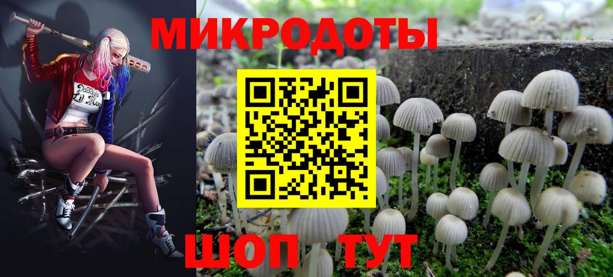 Галлюциногенные грибы ЛСД  Вход с VPN  Соль-Илецк 